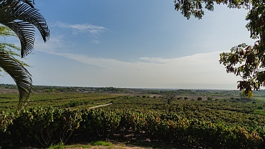 Mars La Chola cocoa farm in Ecuador
