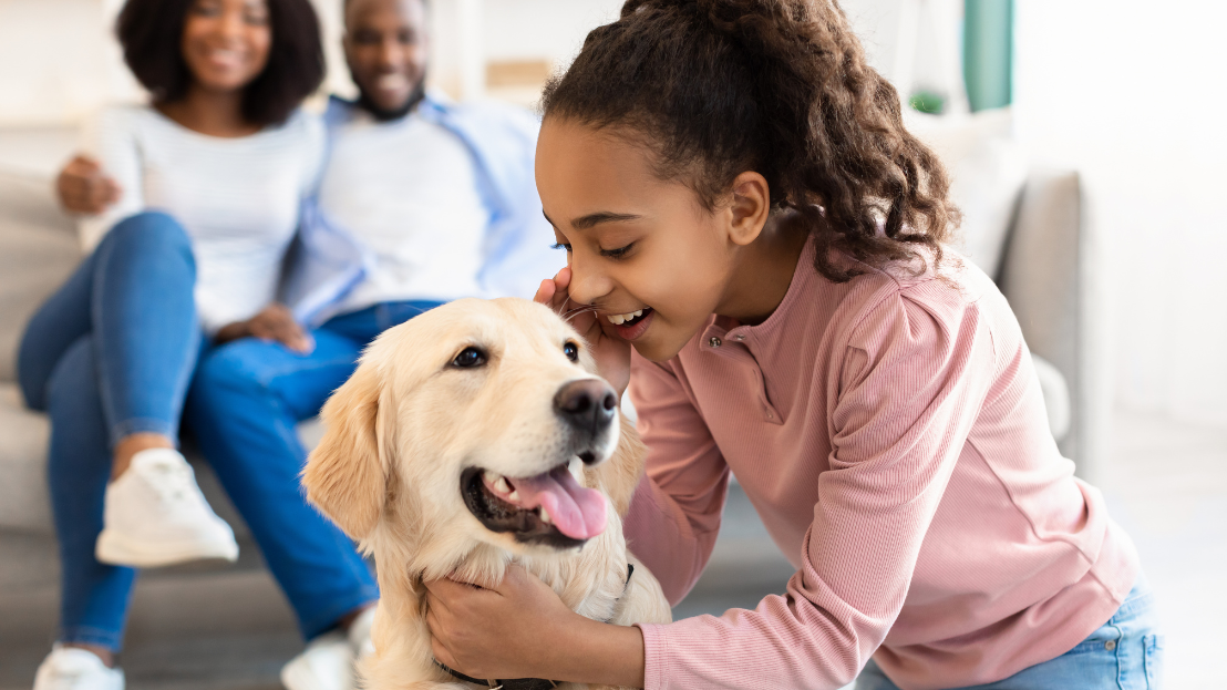 Young girl playing with a golden retriever while her parents smile in the background